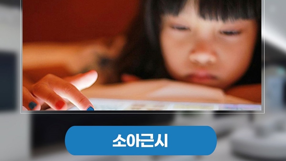 진료 과정
