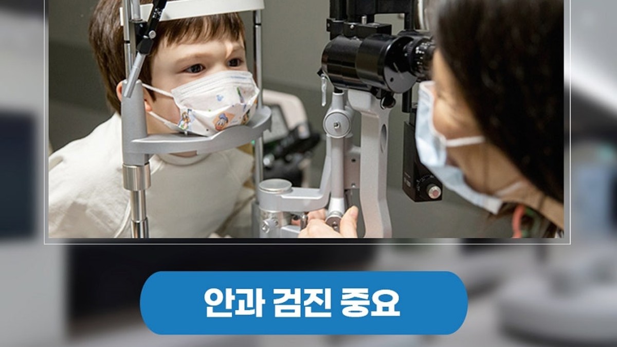 점검 항목