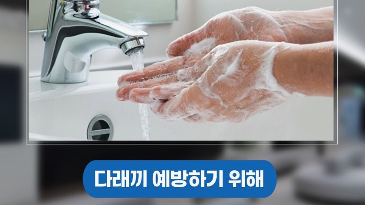 안내 자료