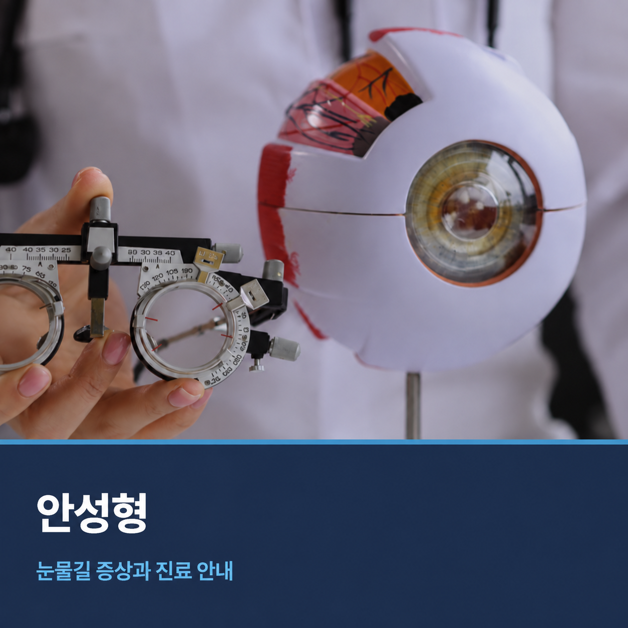 안성형